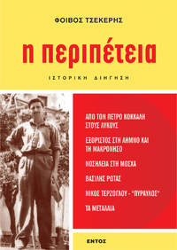 Φωτογραφία του περιγραφόμενου στοιχείου