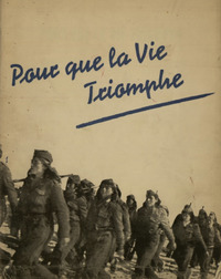 Φωτογραφία του περιγραφόμενου στοιχείου